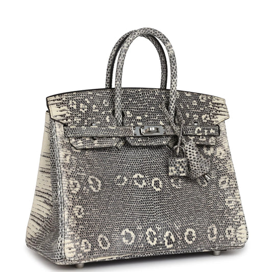 Hermès Birkin 25 Ombre Varanus Salvator Lizard Palladium Hardware