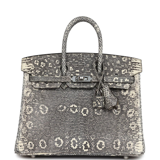 Hermès Birkin 25 Ombre Varanus Salvator Lizard Palladium Hardware